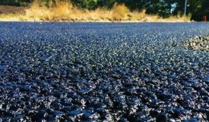 Битум: что это такое, виды и применение