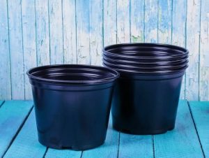 Выбор идеального горшка для рассады